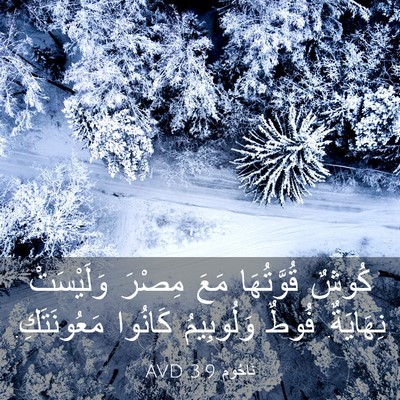 Picture 03 - نَاحُوم 3:9 AVD - كُوشٌ قُوَّتُهَا مَعَ - Bible Verse Picture