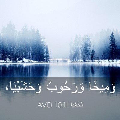 Picture 03 - نَحَمْيَا 10:11 AVD - وَمِيخَا وَرَحُوبُ - Bible Verse Picture