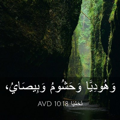 Picture 03 - نَحَمْيَا 10:18 AVD - وَهُودِيَّا وَحَشُومُ - Bible Verse Picture