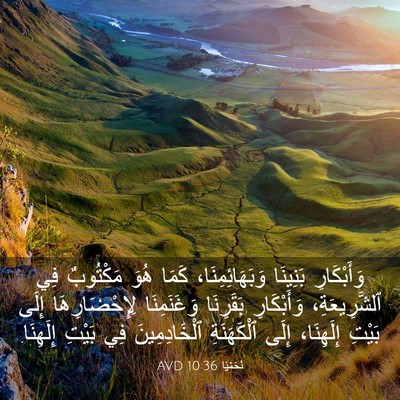 Picture 03 - نَحَمْيَا 10:36 AVD - وَأَبْكَارِ بَنِينَا - Bible Verse Picture
