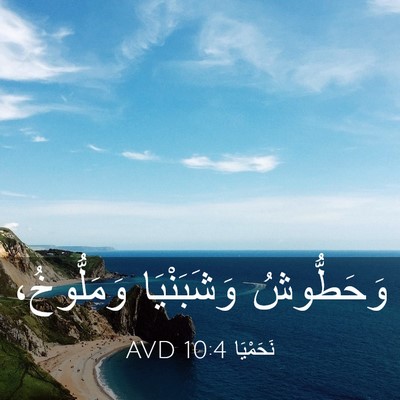 Picture 03 - نَحَمْيَا 10:4 AVD - وَحَطُّوشُ وَشَبَنْيَا - Bible Verse Picture