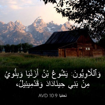 Picture 03 - نَحَمْيَا 10:9 AVD - وَٱللَّاَوِيُّونَ: - Bible Verse Picture