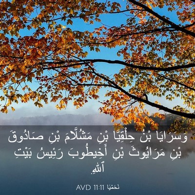 Picture 03 - نَحَمْيَا 11:11 AVD - وَسَرَايَا بْنُ - Bible Verse Picture
