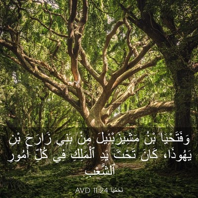 Picture 03 - نَحَمْيَا 11:24 AVD - وَفَتَحْيَا بْنُ - Bible Verse Picture