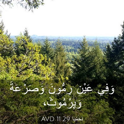 Picture 03 - نَحَمْيَا 11:29 AVD - وَفِي عَيْنِ رِمُّونَ - Bible Verse Picture