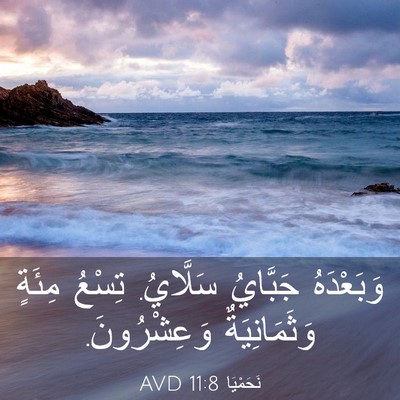 Picture 03 - نَحَمْيَا 11:8 AVD - وَبَعْدَهُ جَبَّايُ - Bible Verse Picture