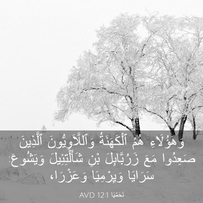 Picture 03 - نَحَمْيَا 12:1 AVD - وَهَؤُلَاءِ هُمُ - Bible Verse Picture