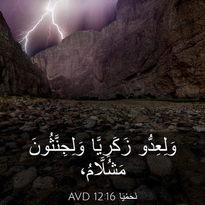 Picture 03 - نَحَمْيَا 12:16 AVD - وَلِعِدُّو زَكَرِيَّا - Bible Verse Picture