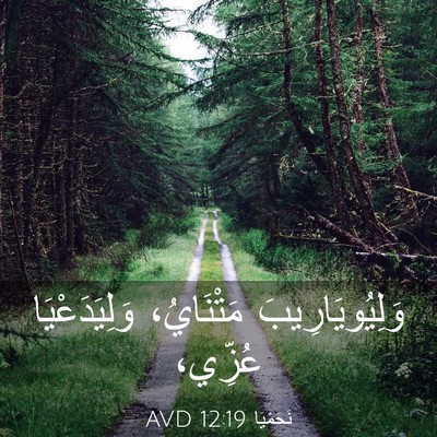 Picture 03 - نَحَمْيَا 12:19 AVD - وَلِيُويَارِيبَ - Bible Verse Picture