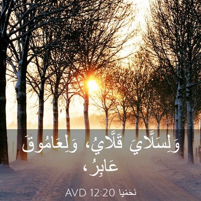 Picture 03 - نَحَمْيَا 12:20 AVD - وَلِسَلَّايَ قَلَّايُ، - Bible Verse Picture