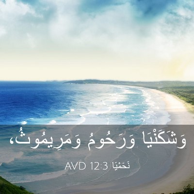 Picture 03 - نَحَمْيَا 12:3 AVD - وَشَكَنْيَا وَرَحُومُ - Bible Verse Picture