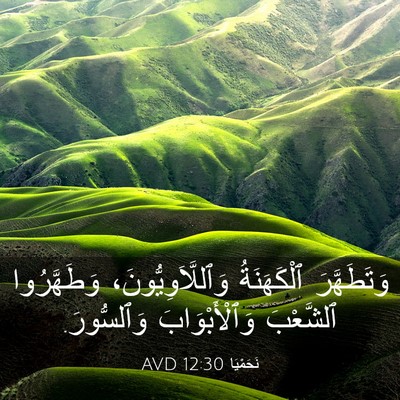 Picture 03 - نَحَمْيَا 12:30 AVD - وَتَطَهَّرَ ٱلْكَهَنَةُ - Bible Verse Picture