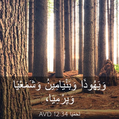 Picture 03 - نَحَمْيَا 12:34 AVD - وَيَهُوذَا وَبَنْيَامِينُ - Bible Verse Picture