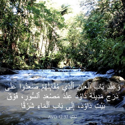 Picture 03 - نَحَمْيَا 12:37 AVD - وَعِنْدَ بَابِ ٱلْعَيْنِ - Bible Verse Picture