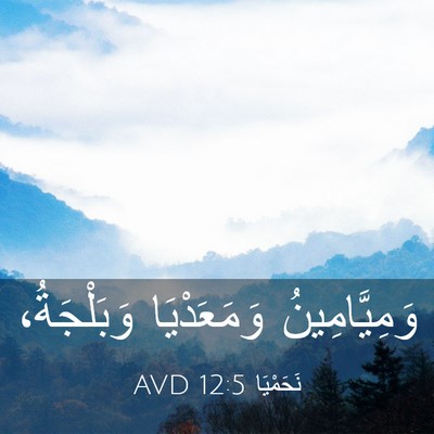 Picture 03 - نَحَمْيَا 12:5 AVD - وَمِيَّامِينُ وَمَعَدْيَا - Bible Verse Picture
