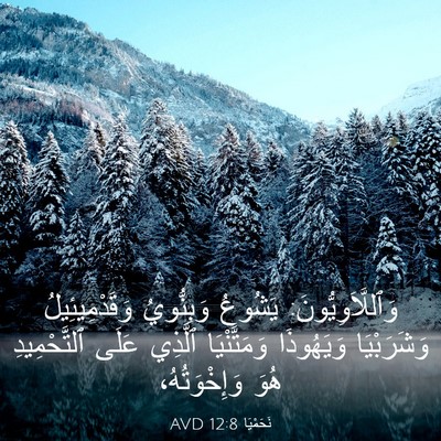Picture 03 - نَحَمْيَا 12:8 AVD - وَٱللَّاَوِيُّونَ: - Bible Verse Picture