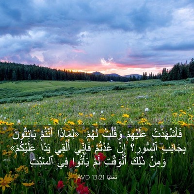 Picture 03 - نَحَمْيَا 13:21 AVD - فَأَشْهَدْتُ عَلَيْهِمْ - Bible Verse Picture