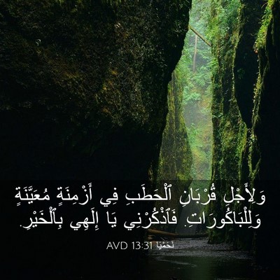 Picture 03 - نَحَمْيَا 13:31 AVD - وَلِأَجْلِ قُرْبَانِ - Bible Verse Picture
