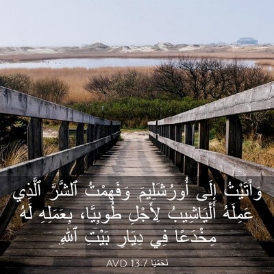 Picture 03 - نَحَمْيَا 13:7 AVD - وَأَتَيْتُ إِلَى - Bible Verse Picture