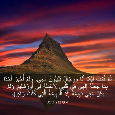 Picture 03 - نَحَمْيَا 2:12 AVD - ثُمَّ قُمْتُ لَيْلًا أَنَا - Bible Verse Picture