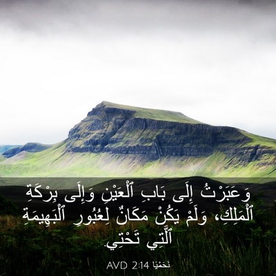 Picture 03 - نَحَمْيَا 2:14 AVD - وَعَبَرْتُ إِلَى بَابِ - Bible Verse Picture