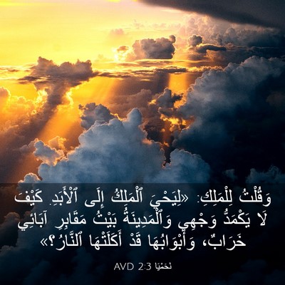 Picture 03 - نَحَمْيَا 2:3 AVD - وَقُلْتُ لِلْمَلِكِ: - Bible Verse Picture