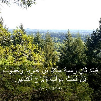 Picture 03 - نَحَمْيَا 3:11 AVD - قِسْمٌ ثَانٍ رَمَّمَهُ - Bible Verse Picture