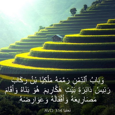Picture 03 - نَحَمْيَا 3:14 AVD - وَبَابُ ٱلدِّمْنِ - Bible Verse Picture
