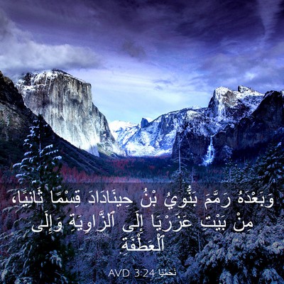 Picture 03 - نَحَمْيَا 3:24 AVD - وَبَعْدَهُ رَمَّمَ - Bible Verse Picture