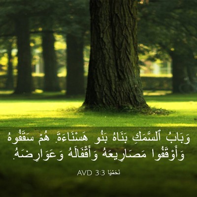 Picture 03 - نَحَمْيَا 3:3 AVD - وَبَابُ ٱلسَّمَكِ بَنَاهُ - Bible Verse Picture