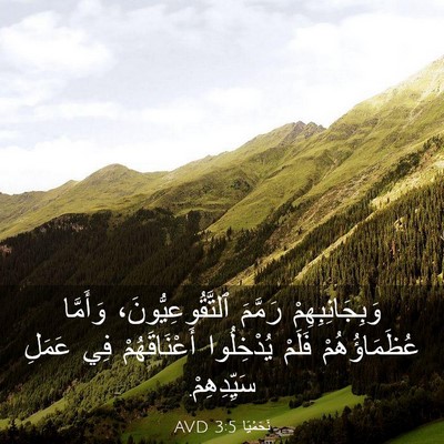 Picture 03 - نَحَمْيَا 3:5 AVD - وَبِجَانِبِهِمْ رَمَّمَ - Bible Verse Picture