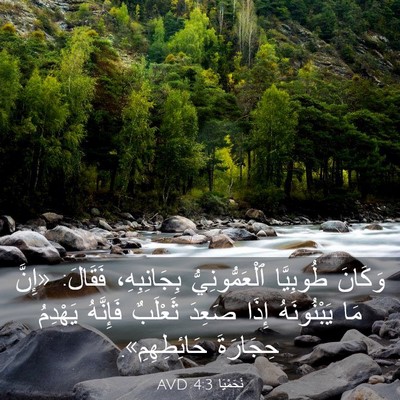 Picture 03 - نَحَمْيَا 4:3 AVD - وَكَانَ طُوبِيَّا - Bible Verse Picture