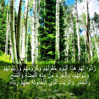 Picture 03 - نَحَمْيَا 5:11 AVD - رُدُّوا لَهُمْ هَذَا - Bible Verse Picture