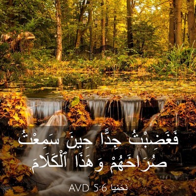Picture 03 - نَحَمْيَا 5:6 AVD - فَغَضِبْتُ جِدًّا حِينَ - Bible Verse Picture