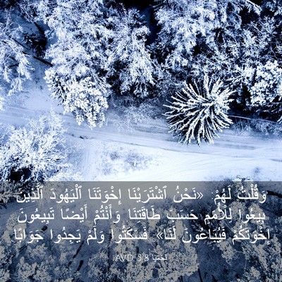 Picture 03 - نَحَمْيَا 5:8 AVD - وَقُلْتُ لَهُمْ: «نَحْنُ - Bible Verse Picture