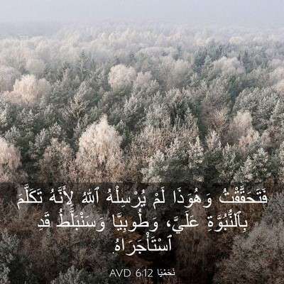 Picture 03 - نَحَمْيَا 6:12 AVD - فَتَحَقَّقْتُ وَهُوَذَا - Bible Verse Picture