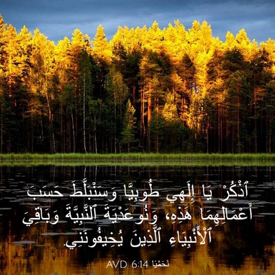 Picture 03 - نَحَمْيَا 6:14 AVD - ٱذْكُرْ يَا إِلَهِي - Bible Verse Picture