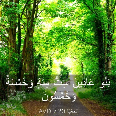 Picture 03 - نَحَمْيَا 7:20 AVD - بَنُو عَادِينَ سِتُّ - Bible Verse Picture