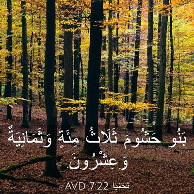 Picture 03 - نَحَمْيَا 7:22 AVD - بَنُو حَشُومَ ثَلَاثُ - Bible Verse Picture