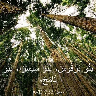 Picture 03 - نَحَمْيَا 7:55 AVD - بَنُو بَرْقُوسَ، بَنُو - Bible Verse Picture