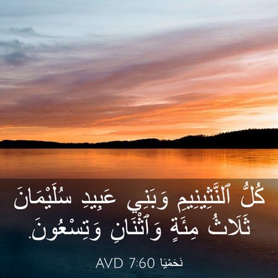Picture 03 - نَحَمْيَا 7:60 AVD - كُلُّ ٱلنَّثِينِيمِ - Bible Verse Picture