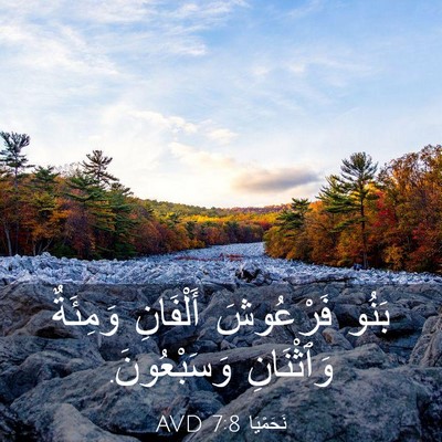 Picture 03 - نَحَمْيَا 7:8 AVD - بَنُو فَرْعُوشَ أَلْفَانِ - Bible Verse Picture