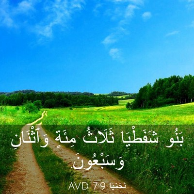 Picture 03 - نَحَمْيَا 7:9 AVD - بَنُو شَفَطْيَا ثَلَاثُ - Bible Verse Picture