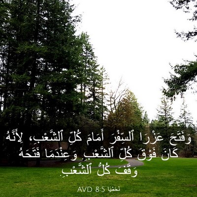 Picture 03 - نَحَمْيَا 8:5 AVD - وَفَتَحَ عَزْرَا - Bible Verse Picture