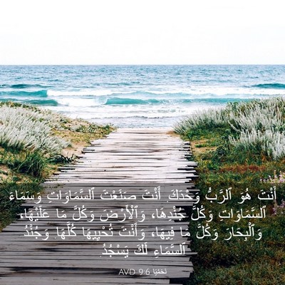 Picture 03 - نَحَمْيَا 9:6 AVD - أَنْتَ هُوَ ٱلرَّبُّ - Bible Verse Picture