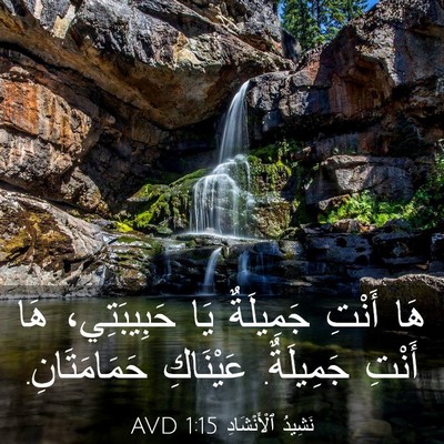 Picture 03 - نَشِيدُ ٱلْأَنْشَادِ 1:15 AVD - هَا أَنْتِ جَمِيلَةٌ يَا - Bible Verse Picture