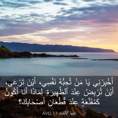 Picture 03 - نَشِيدُ ٱلْأَنْشَادِ 1:7 AVD - أَخْبِرْنِي يَا مَنْ - Bible Verse Picture