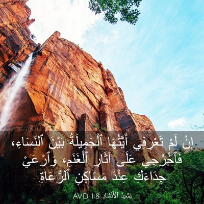 Picture 03 - نَشِيدُ ٱلْأَنْشَادِ 1:8 AVD - إِنْ لَمْ تَعْرِفِي - Bible Verse Picture