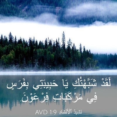 Picture 03 - نَشِيدُ ٱلْأَنْشَادِ 1:9 AVD - لَقَدْ شَبَّهْتُكِ يَا - Bible Verse Picture