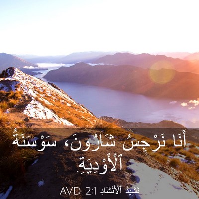 Picture 03 - نَشِيدُ ٱلْأَنْشَادِ 2:1 AVD - أَنَا نَرْجِسُ شَارُونَ، - Bible Verse Picture